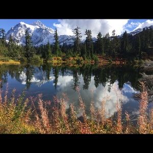 Meet your Posher, Beth